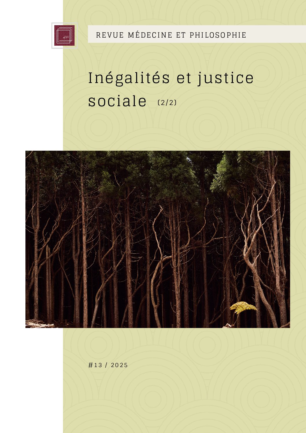 Couverture du numéro 13 — Inégalités et justice sociale (2/2)